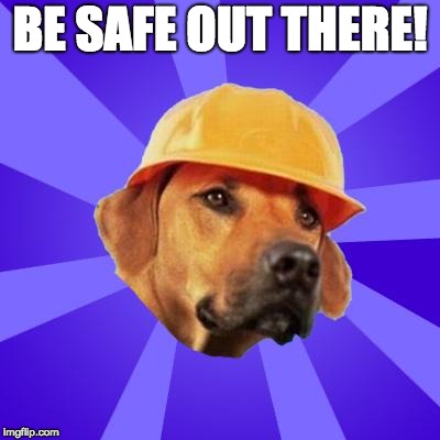 safety hound | BE SAFE OUT THERE! | image tagged in safety hound | made w/ Imgflip meme maker