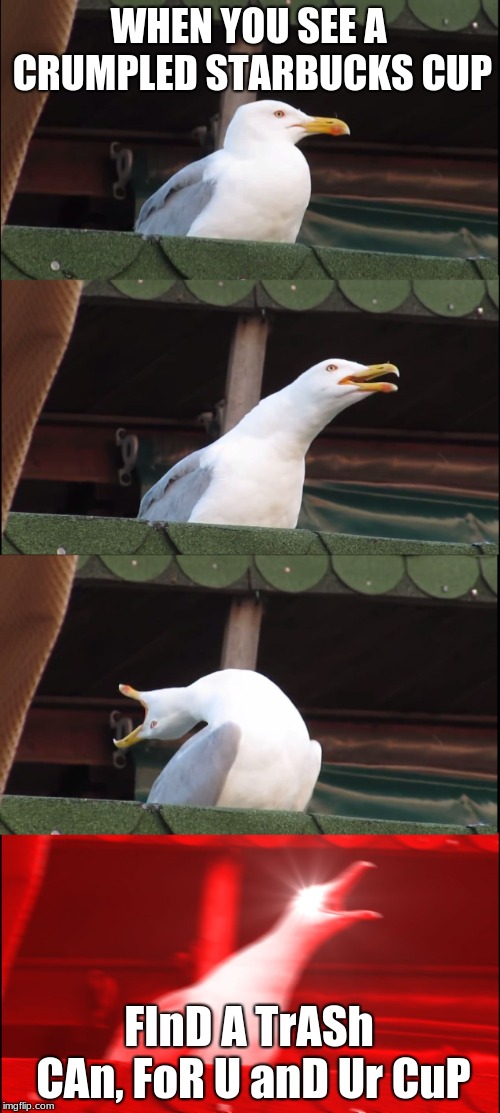 Inhaling Seagull | WHEN YOU SEE A CRUMPLED STARBUCKS CUP; FInD A TrASh CAn, FoR U anD Ur CuP | image tagged in memes,inhaling seagull | made w/ Imgflip meme maker