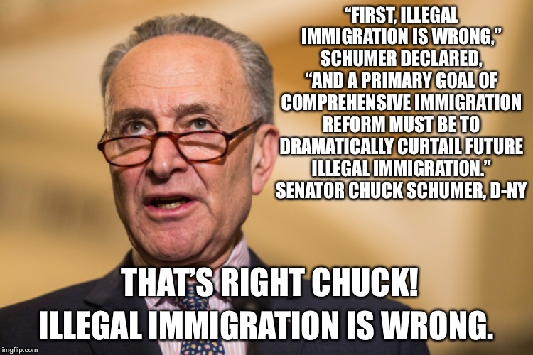 Chuck Schumer Get’s It Right! | “FIRST, ILLEGAL IMMIGRATION IS WRONG,” SCHUMER DECLARED, “AND A PRIMARY GOAL OF COMPREHENSIVE IMMIGRATION REFORM MUST BE TO DRAMATICALLY CURTAIL FUTURE ILLEGAL IMMIGRATION.” SENATOR CHUCK SCHUMER, D-NY; THAT’S RIGHT CHUCK! ILLEGAL IMMIGRATION IS WRONG. | image tagged in schumer,immigration,wrong,illegal | made w/ Imgflip meme maker