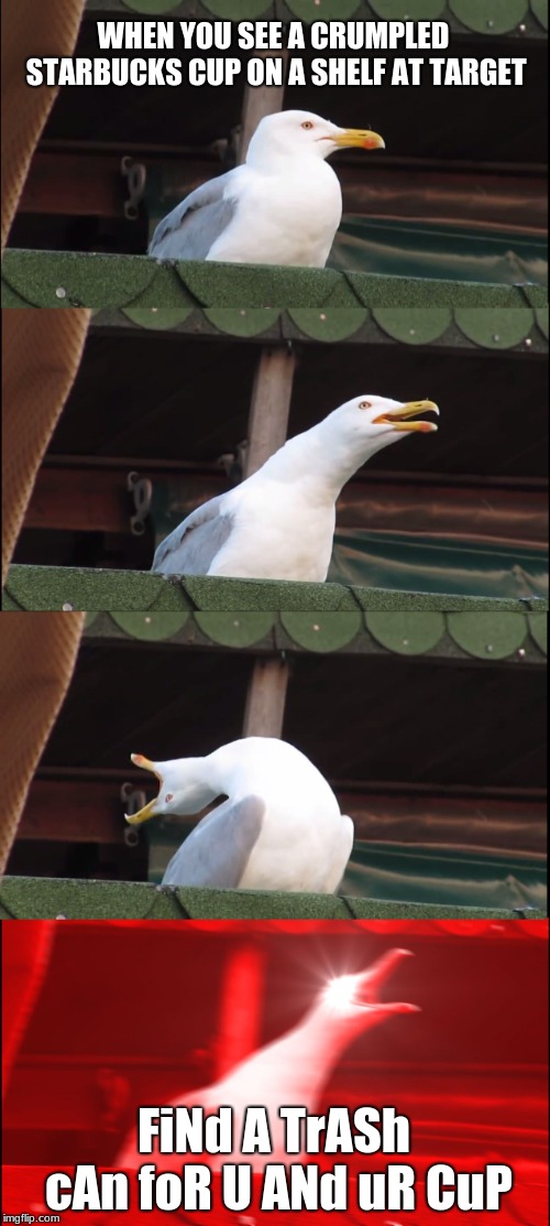 Inhaling Seagull Meme | WHEN YOU SEE A CRUMPLED STARBUCKS CUP ON A SHELF AT TARGET; FiNd A TrASh cAn foR U ANd uR CuP | image tagged in memes,inhaling seagull | made w/ Imgflip meme maker