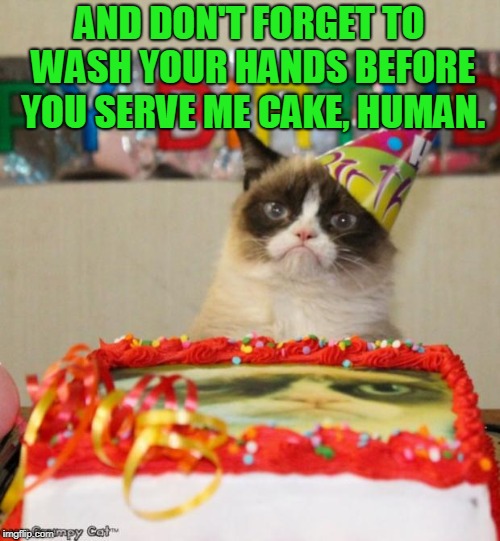 Grumpy Cat Birthday Meme | AND DON'T FORGET TO WASH YOUR HANDS BEFORE YOU SERVE ME CAKE, HUMAN. | image tagged in memes,grumpy cat birthday,grumpy cat | made w/ Imgflip meme maker