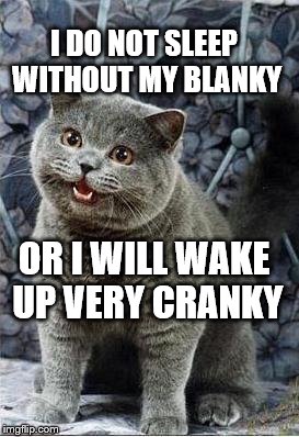 I can has cheezburger cat | I DO NOT SLEEP WITHOUT MY BLANKY OR I WILL WAKE UP VERY CRANKY | image tagged in i can has cheezburger cat | made w/ Imgflip meme maker