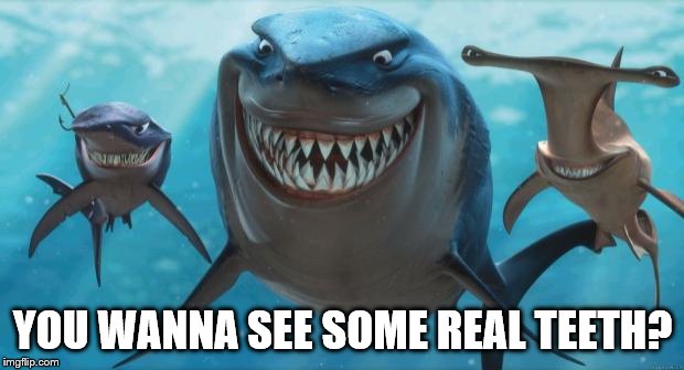 Finding Nemo Sharks | YOU WANNA SEE SOME REAL TEETH? | image tagged in finding nemo sharks | made w/ Imgflip meme maker