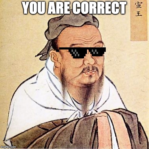 Confucius | YOU ARE CORRECT | image tagged in confucius | made w/ Imgflip meme maker