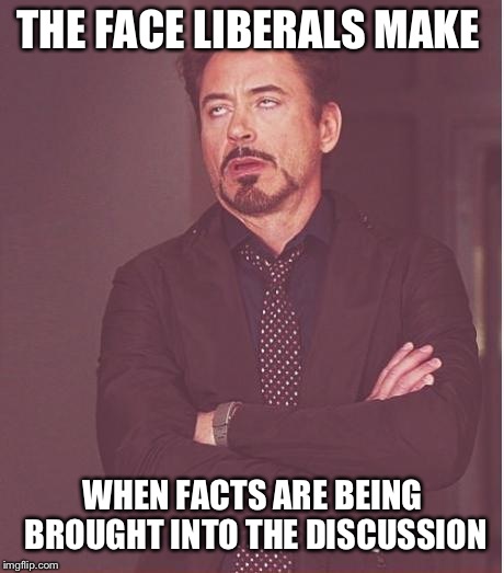 Face You Make Robert Downey Jr Meme | THE FACE LIBERALS MAKE; WHEN FACTS ARE BEING BROUGHT INTO THE DISCUSSION | image tagged in memes,face you make robert downey jr | made w/ Imgflip meme maker