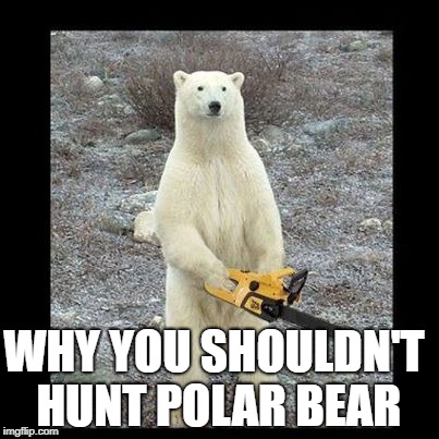 Chainsaw Bear | WHY YOU SHOULDN'T HUNT POLAR BEAR | image tagged in memes,chainsaw bear | made w/ Imgflip meme maker