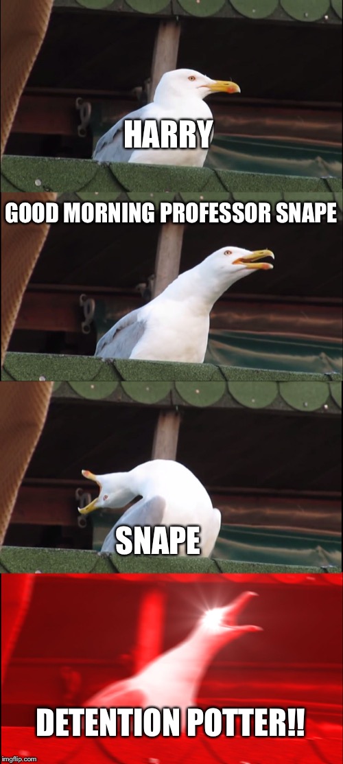 Inhaling Seagull Meme | HARRY; GOOD MORNING PROFESSOR SNAPE; SNAPE; DETENTION POTTER!! | image tagged in memes,inhaling seagull | made w/ Imgflip meme maker