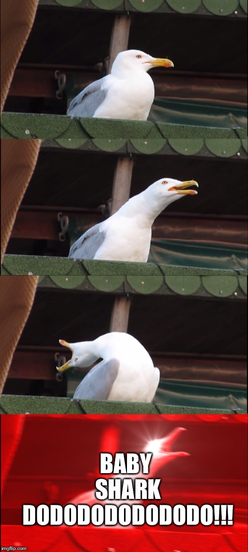 Inhaling Seagull | BABY SHARK DODODODODODODO!!! | image tagged in memes,inhaling seagull | made w/ Imgflip meme maker