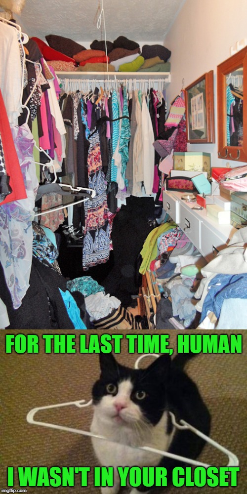 FOR THE LAST TIME, HUMAN I WASN'T IN YOUR CLOSET | made w/ Imgflip meme maker