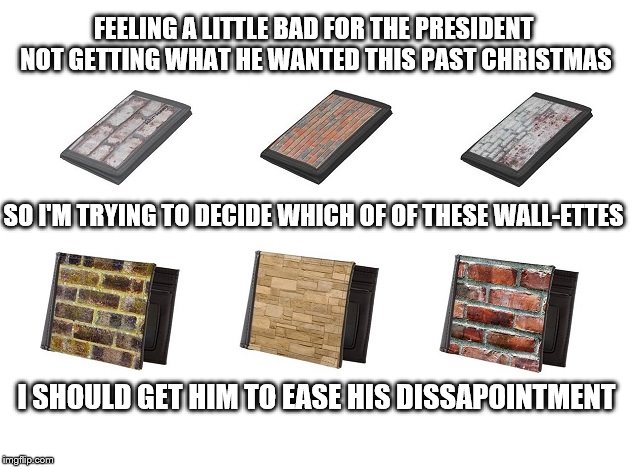 Got a gift for ya Donald :) | FEELING A LITTLE BAD FOR THE PRESIDENT NOT GETTING WHAT HE WANTED THIS PAST CHRISTMAS; SO I'M TRYING TO DECIDE WHICH OF OF THESE WALL-ETTES; I SHOULD GET HIM TO EASE HIS DISSAPOINTMENT | image tagged in donald trump,wall,wallet | made w/ Imgflip meme maker