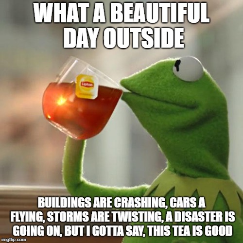 But That's None Of My Business Meme | WHAT A BEAUTIFUL DAY OUTSIDE; BUILDINGS ARE CRASHING, CARS A FLYING, STORMS ARE TWISTING, A DISASTER IS GOING ON, BUT I GOTTA SAY, THIS TEA IS GOOD | image tagged in memes,but thats none of my business,kermit the frog | made w/ Imgflip meme maker