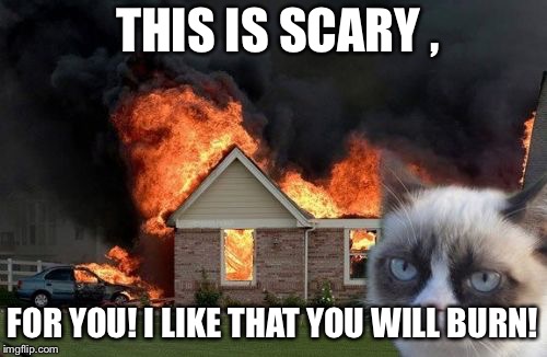 Burn Kitty Meme | THIS IS SCARY , FOR YOU! I LIKE THAT YOU WILL BURN! | image tagged in memes,burn kitty,grumpy cat | made w/ Imgflip meme maker