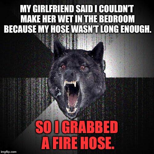 Fire hose wet dream | MY GIRLFRIEND SAID I COULDN’T MAKE HER WET IN THE BEDROOM BECAUSE MY HOSE WASN’T LONG ENOUGH. SO I GRABBED A FIRE HOSE. | image tagged in memes,insanity wolf,fire,bed,hot,girlfriend | made w/ Imgflip meme maker