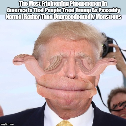 The Most Frightening Phenomenon In America Is That People Treat Trump As Passably Normal Rather Than Unprecedentedly Monstrous | made w/ Imgflip meme maker