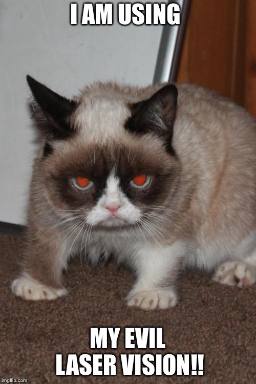 Grumpy Cat red eyes | I AM USING; MY EVIL LASER VISION!! | image tagged in grumpy cat red eyes | made w/ Imgflip meme maker