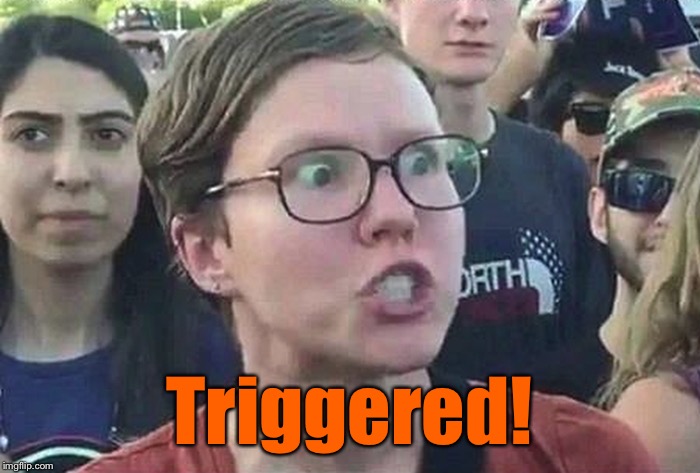 Triggered Liberal | Triggered! | image tagged in triggered liberal | made w/ Imgflip meme maker