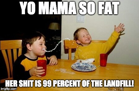 Yo Mamas So Fat Meme | YO MAMA SO FAT; HER SHIT IS 99 PERCENT OF THE LANDFILL! | image tagged in memes,yo mamas so fat | made w/ Imgflip meme maker