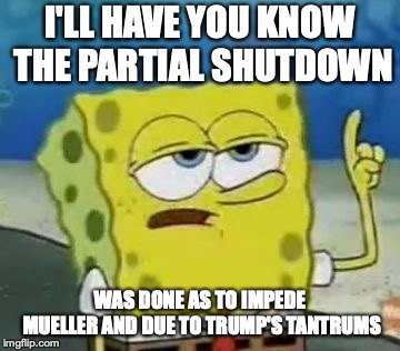 Partial Shutdown | I'LL HAVE YOU KNOW THE PARTIAL SHUTDOWN; WAS DONE AS TO IMPEDE MUELLER AND DUE TO TRUMP'S TANTRUMS | image tagged in memes,ill have you know spongebob,government shutdown | made w/ Imgflip meme maker