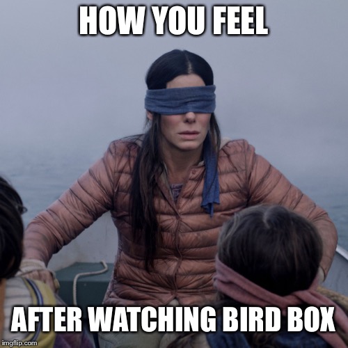 Bird Box | HOW YOU FEEL; AFTER WATCHING BIRD BOX | image tagged in bird box | made w/ Imgflip meme maker