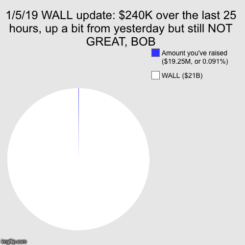 1/5/19 WALL update: $240K over the last 25 hours, up a bit from yesterday but still NOT GREAT, BOB | WALL ($21B), Amount you've raised ($19. | image tagged in funny,pie charts | made w/ Imgflip chart maker