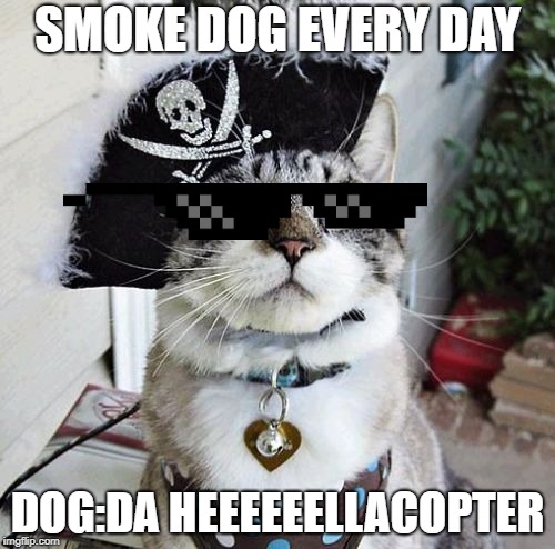 Spangles Meme | SMOKE DOG EVERY DAY; DOG:DA HEEEEEELLACOPTER | image tagged in memes,spangles | made w/ Imgflip meme maker
