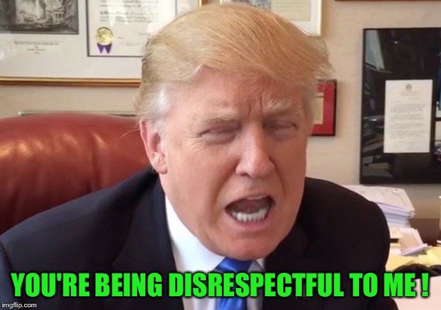 trump crying | YOU'RE BEING DISRESPECTFUL TO ME ! | image tagged in trump crying | made w/ Imgflip meme maker