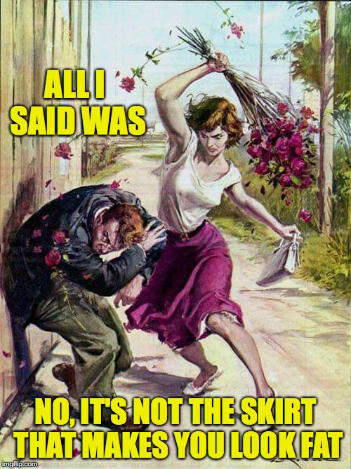Beaten with Roses | ALL I SAID WAS; NO, IT'S NOT THE SKIRT THAT MAKES YOU LOOK FAT | image tagged in beaten with roses,memes,fat,all i said was | made w/ Imgflip meme maker