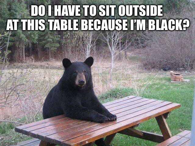 Black bears matter | DO I HAVE TO SIT OUTSIDE AT THIS TABLE BECAUSE I’M BLACK? | image tagged in bear at picnic table,memes,race,black,bad joke,racist | made w/ Imgflip meme maker