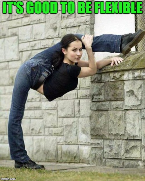 Flexible Girl | IT'S GOOD TO BE FLEXIBLE | image tagged in flexible girl | made w/ Imgflip meme maker