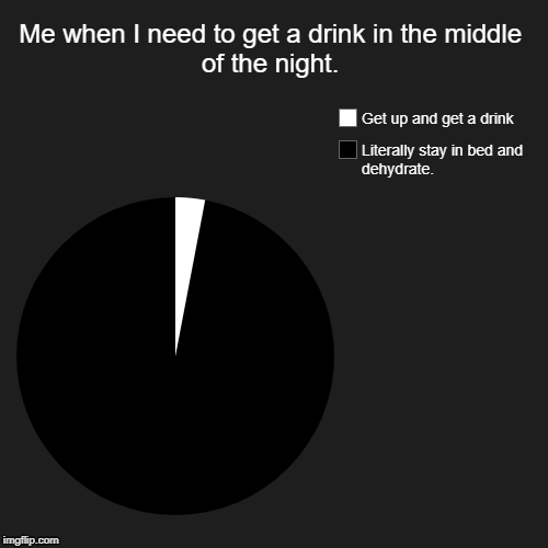 Me when I need to get a drink in the middle of the night. | Literally stay in bed and dehydrate., Get up and get a drink | image tagged in funny,pie charts | made w/ Imgflip chart maker