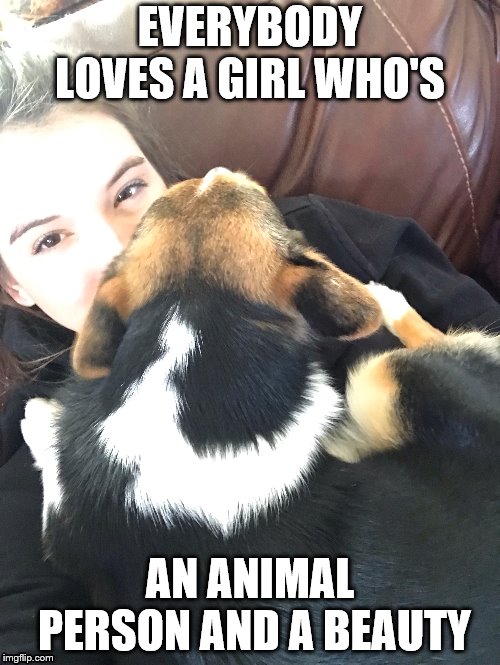 EVERYBODY LOVES A GIRL WHO'S; AN ANIMAL PERSON AND A BEAUTY | image tagged in overly attached girlfriend | made w/ Imgflip meme maker