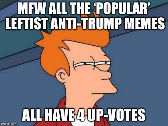 Things that make you go hmmm... | MFW ALL THE ‘POPULAR’ LEFTIST ANTI-TRUMP MEMES; ALL HAVE 4 UP-VOTES | image tagged in memes,futurama fry,libtards | made w/ Imgflip meme maker