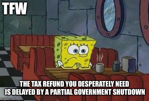 tfw-income-tax-delayed | TFW; THE TAX REFUND YOU DESPERATELY NEED IS DELAYED BY A PARTIAL GOVERNMENT SHUTDOWN | image tagged in tfw-income-tax-delayed | made w/ Imgflip meme maker