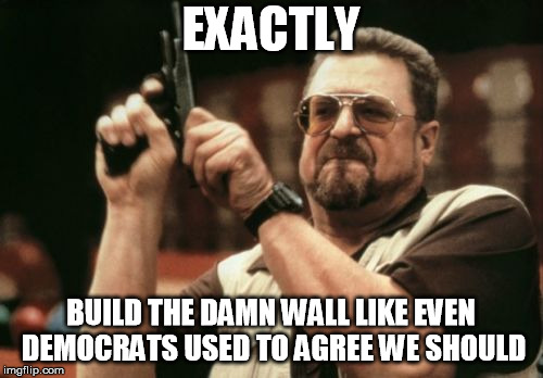 Am I The Only One Around Here Meme | EXACTLY BUILD THE DAMN WALL LIKE EVEN DEMOCRATS USED TO AGREE WE SHOULD | image tagged in memes,am i the only one around here | made w/ Imgflip meme maker