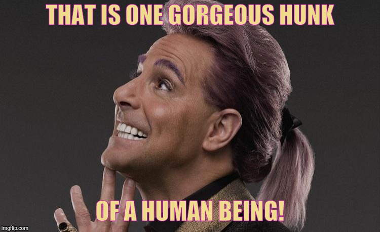 Hunger Games - Caesar Flickerman (Stanley Tucci) "Here it comes! | THAT IS ONE GORGEOUS HUNK OF A HUMAN BEING! | image tagged in hunger games - caesar flickerman stanley tucci here it comes | made w/ Imgflip meme maker