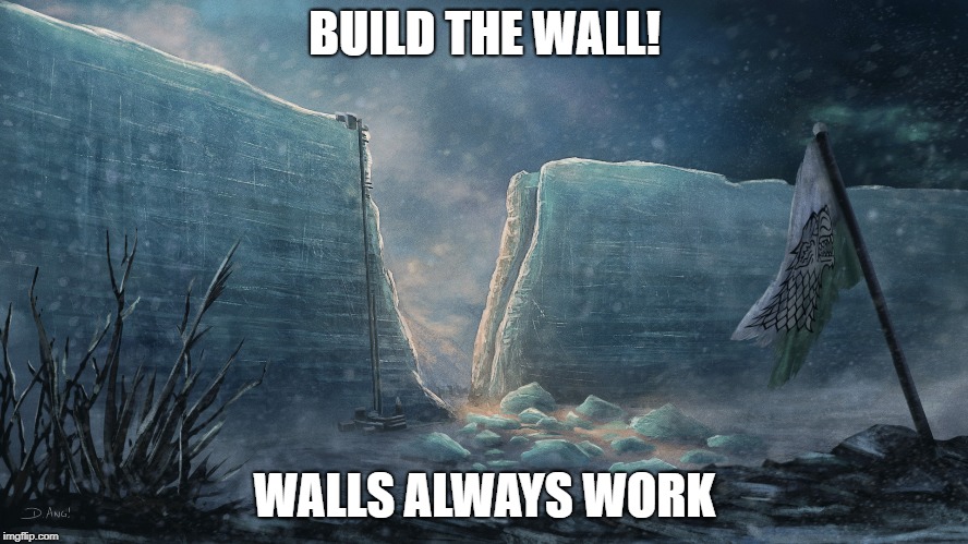 Trump's Wall  | BUILD THE WALL! WALLS ALWAYS WORK | image tagged in trump wall,maga | made w/ Imgflip meme maker