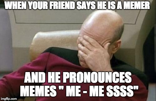 Captain Picard Facepalm | WHEN YOUR FRIEND SAYS HE IS A MEMER; AND HE PRONOUNCES MEMES " ME - ME SSSS" | image tagged in memes,captain picard facepalm | made w/ Imgflip meme maker