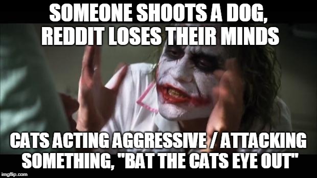 And everybody loses their minds Meme | SOMEONE SHOOTS A DOG, REDDIT LOSES THEIR MINDS; CATS ACTING AGGRESSIVE / ATTACKING SOMETHING, "BAT THE CATS EYE OUT" | image tagged in memes,and everybody loses their minds | made w/ Imgflip meme maker