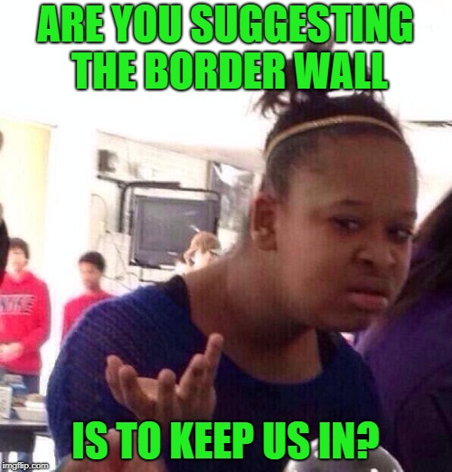 Black Girl Wat Meme | ARE YOU SUGGESTING THE BORDER WALL IS TO KEEP US IN? | image tagged in memes,black girl wat | made w/ Imgflip meme maker