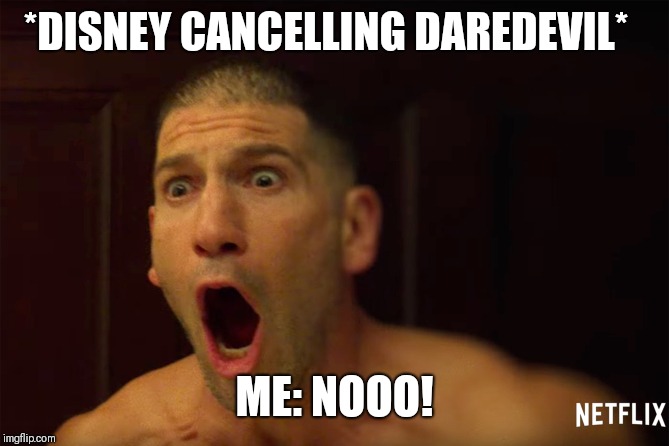 punisher nooo | *DISNEY CANCELLING DAREDEVIL*; ME: NOOO! | image tagged in punisher nooo | made w/ Imgflip meme maker