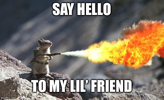 Flame War Squirrel | SAY HELLO TO MY LIL’ FRIEND | image tagged in flame war squirrel | made w/ Imgflip meme maker