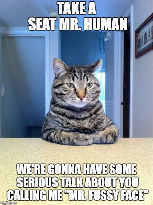 Take A Seat Cat | TAKE A SEAT MR. HUMAN; WE'RE GONNA HAVE SOME SERIOUS TALK ABOUT YOU CALLING ME "MR. FUSSY FACE" | image tagged in memes,take a seat cat | made w/ Imgflip meme maker