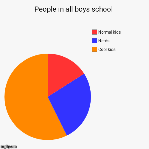 People in all boys school | Cool kids, Nerds, Normal kids | image tagged in funny,pie charts | made w/ Imgflip chart maker