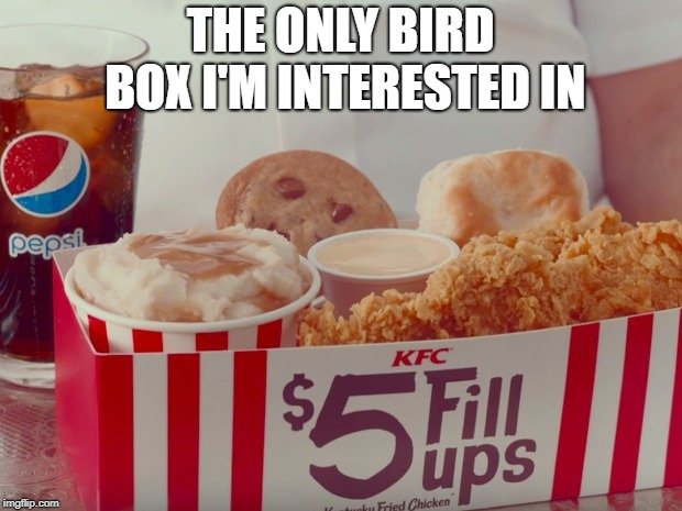 True story | THE ONLY BIRD BOX I'M INTERESTED IN | image tagged in funny memes | made w/ Imgflip meme maker