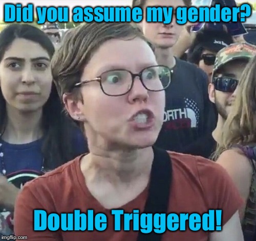 Triggered feminist | Did you assume my gender? Double Triggered! | image tagged in triggered feminist | made w/ Imgflip meme maker