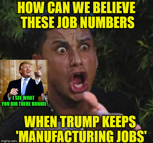 I See What You Did There | HOW CAN WE BELIEVE THESE JOB NUMBERS; I SEE WHAT YOU DID THERE RONNIE; WHEN TRUMP KEEPS 'MANUFACTURING JOBS' | image tagged in jersey shore,memes,i see what you did there,donald trump,jobs,what | made w/ Imgflip meme maker