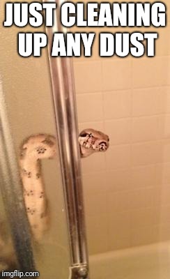 snakeshower | JUST CLEANING UP ANY DUST | image tagged in snakeshower | made w/ Imgflip meme maker