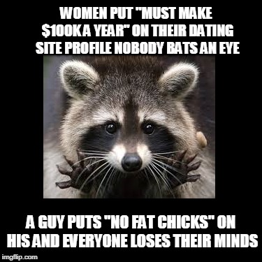 True story... | WOMEN PUT "MUST MAKE $100K A YEAR" ON THEIR DATING SITE PROFILE NOBODY BATS AN EYE; A GUY PUTS "NO FAT CHICKS" ON HIS AND EVERYONE LOSES THEIR MINDS | image tagged in online dating,internet dating,single life | made w/ Imgflip meme maker