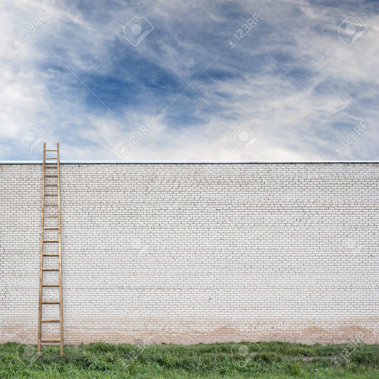 High Quality ladder Blank Meme Template