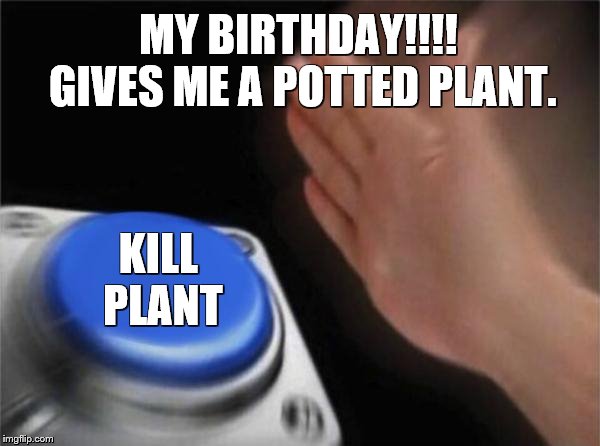 Blank Nut Button Meme | MY BIRTHDAY!!!! GIVES ME A POTTED PLANT. KILL PLANT | image tagged in memes,blank nut button | made w/ Imgflip meme maker